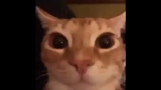 🔴GLUNGUS ADVENTURES🔴locking in🔴NO LEVEL REQUESTS/REACTIONS