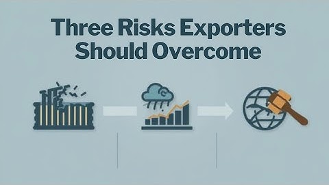 Three Risks to exporters #import #export 