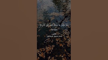 سورة الرعد آيه ٢٤#العراق #القرآن_الكريم #اكسبلور #duet #الجزائر #لايك #المغرب #السعودية #مصر #فلسطين