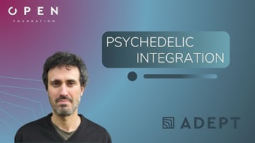 A psychedelic therapist