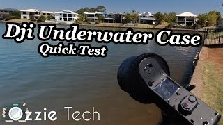 Dji Underwater Case for the Dji Osmo Pocket Quick Test