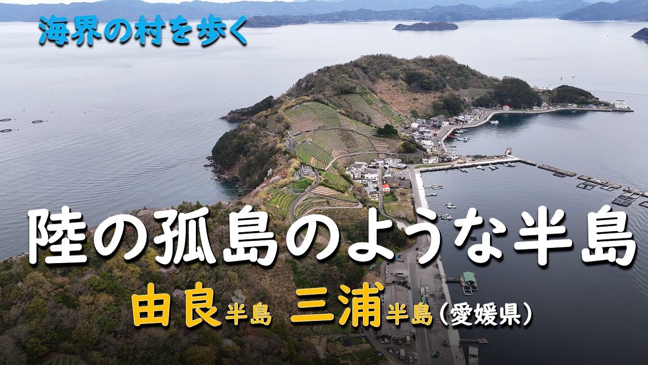 陸の孤島のような半島／海界 由良半島 三浦半島（愛媛県）