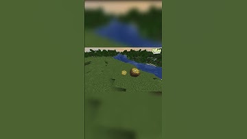 How To Make A Chicken Nest In Minecraft