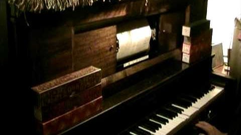 The Birmingham Blues - James P. Johnson - QRS Piano Roll 1994