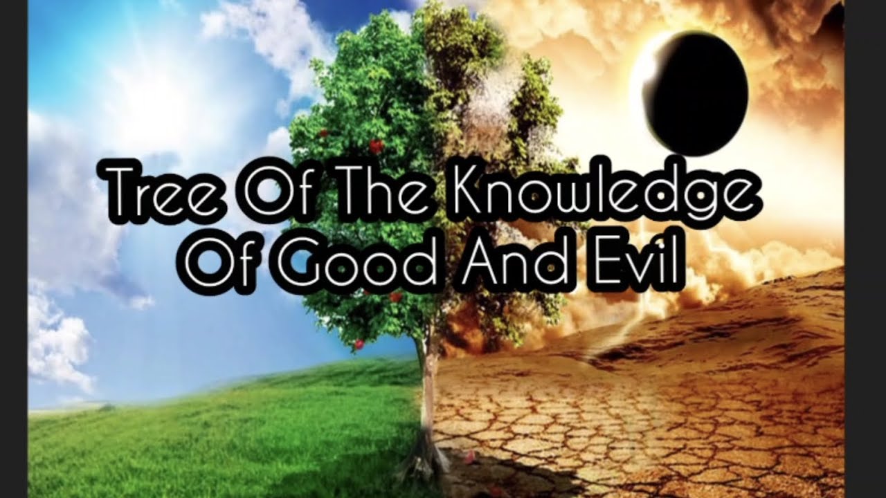 Tree Of The Knowledge Of Good And Evil - YouTube