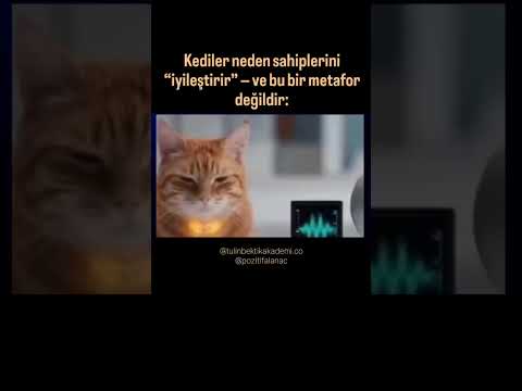 #keşfet #kesfeteyyiz #keşfetbeniöneçıkar #shortvideo #shortsfeed  #shorts #short #funny #sevgi #love