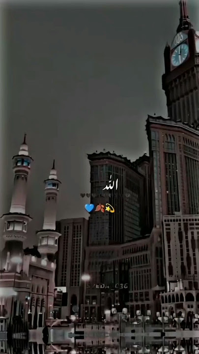 #yaali #nasheed #rap #hijab #edit #hasbirabbi #naat #islamicshorts #love #islamicstatus