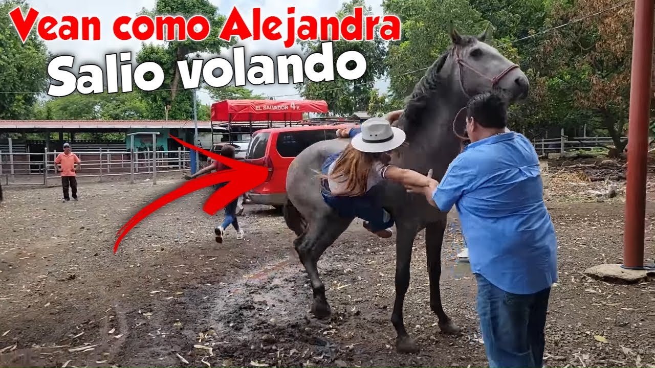 Cuidado! Gran accidente de Alejandra. La tiró el caballo español.