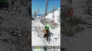 Don't Think The Megatherium Likes The Trap #arksurvivalascended #arksurvivalevolved #gamer