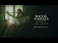 Social Animals - Show Me How (Visualizer)
