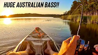 BIG Bass on Topwater! Fishing surface lures for Australian Bass