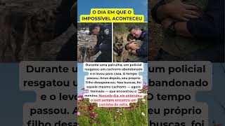 O dia em que tudo voltou. #amor #noticias #deustemumapalavrapravoce