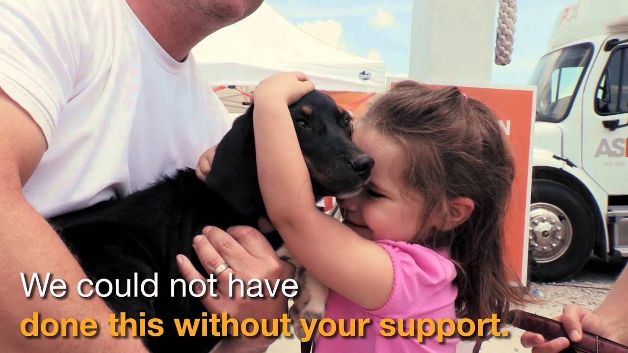 aspca near me A Weekend of New Beginnings: Over 200 Animals Find Homes in Alabama