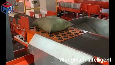 EFS Wheel Sorter/Wave Sorter/Swivel Sorter/Pivort Sorter for Logistics Warehouse Express