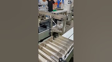 Automatic cake bread biscuit bag covneying sorting counting feeding line