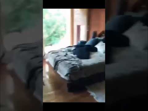 Jungkook Fell Asleep In The Closet Clip From BTS World Game Shorts 