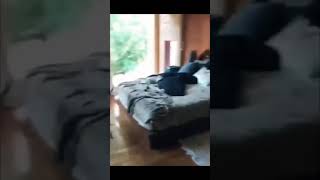 Jungkook Fell Asleep In The Closet, Clip From Bts World Game