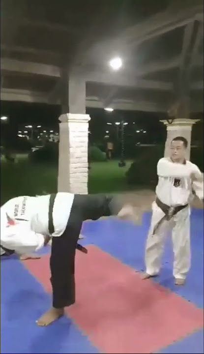 Kicks Master Carlo Fernandez highlights #hctmartialarts #taekwondo #martialarts #highlights