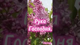 Доброе утро!!!☀️