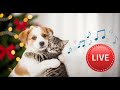 12 Hours Of Calming Music for Cats 🐈 Sleep Music for Cats No Ads ♬ Sleep Music for Anxious Cats
