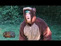 CARBS JUSSY Think Imma Grizzly Bear Official Music Video CARBS JUSSY Think Imma Grizzly Bear Official Music Video