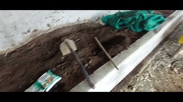 How to multiply Trichoderma species as biocontrol agents#Organicfarming#farmer#orange#orangefarming