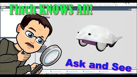 Finchy Knows All!  An Interactive Talking FINCH robot!