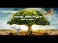 Всередині ми всі абсолютно однакові