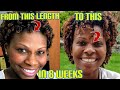 How I Naturally Grew my Hair using Fenugreek l My Amazing Postpartum Hair Growth!