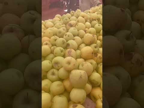 أجي تعرف تمن ذلبنان عنذ هذ السيذ فالسوق اكسبلور نفيسه