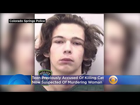 Teen Previously Accused Of Killing Cat Now Suspected Of Murdering Woman