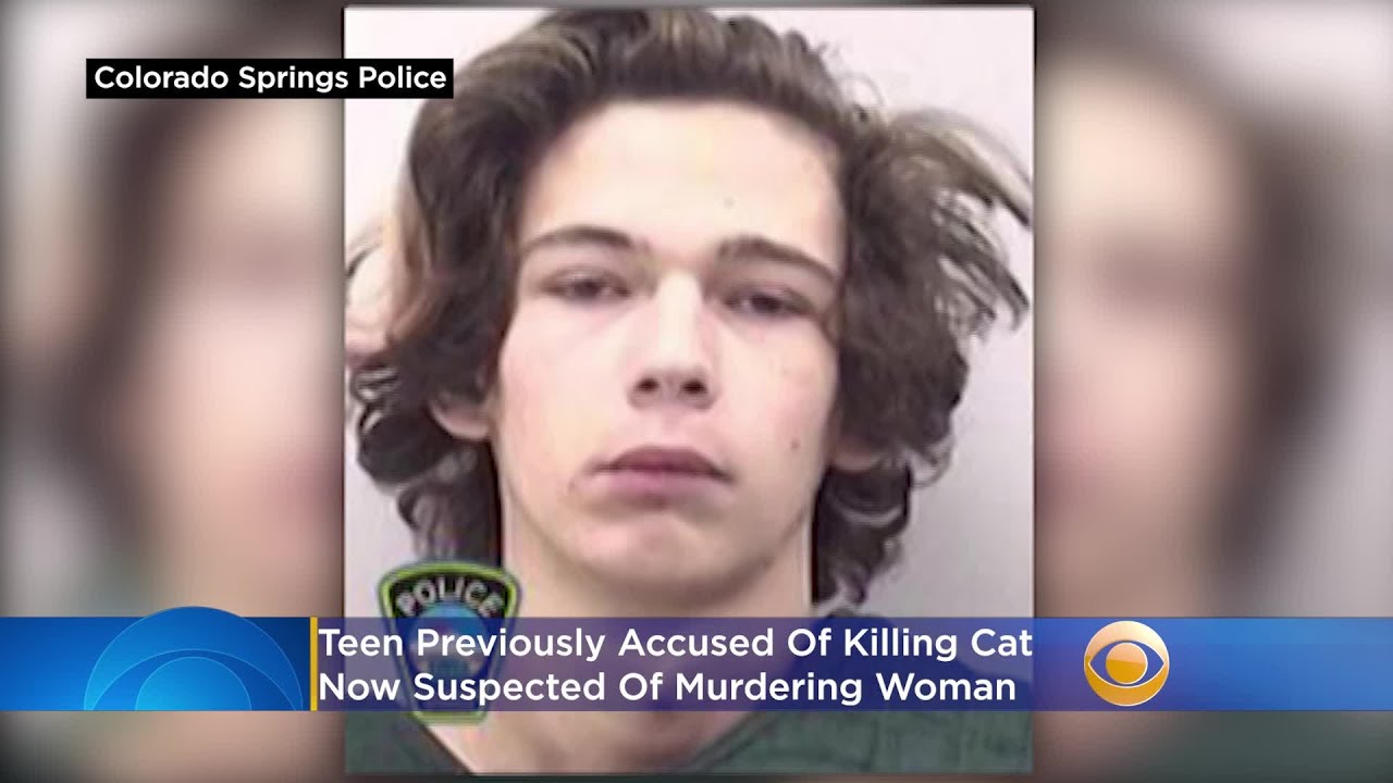 Teen Previously Accused Of Killing Cat Now Suspected Of Murdering Woman