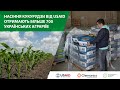 Насіння кукурудзи від USAID отримають більше 700 українських аграріїв