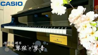 CASIO GP500 類平台鋼琴--琴弦。琴音(楚國情歌)