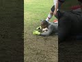 ¡ATAJADÓN!🔥🧤