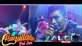 Video thumbnail of "HUAYLLAS DEL SUR - MIX HUAYLIA - COLCA"