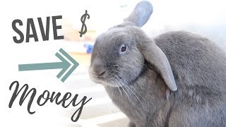 How to Save Money Owning Rabbits