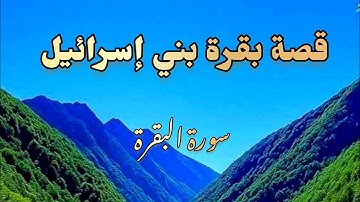 أجمل تلاوات القرءان أحمد ياسر البركان Holy Quran's broadcast