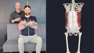 Isometric - Seated Trunk Rotation