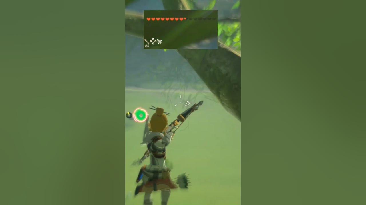 Botw Trickshot on giant boomerang botw legendofzelda trickshot 