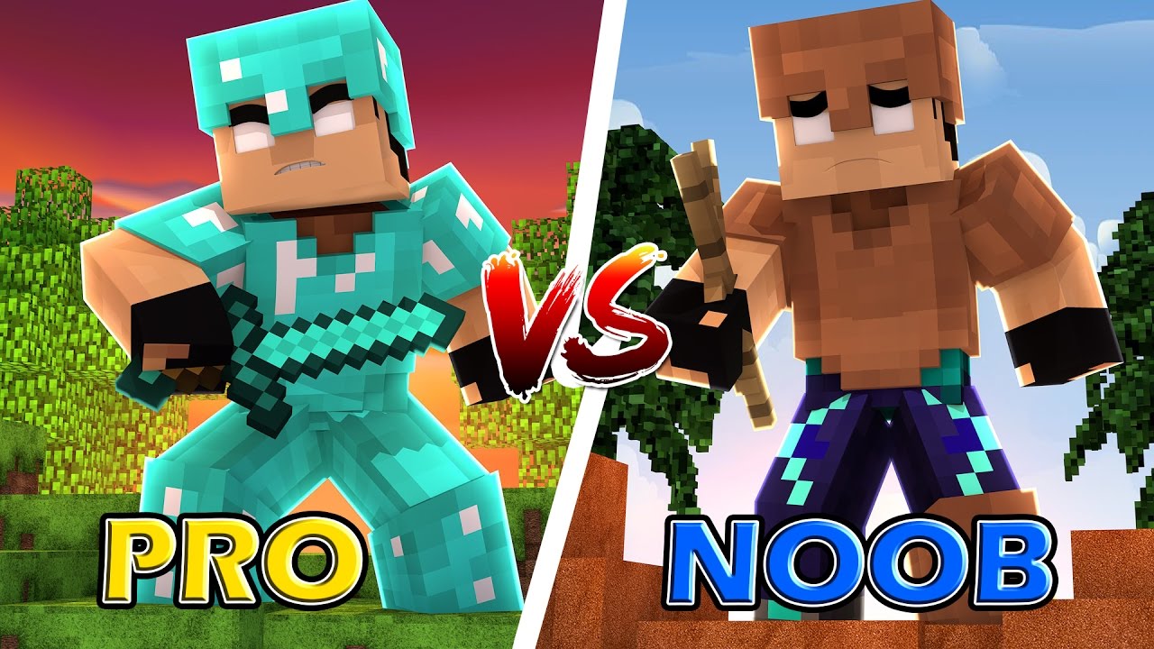 Minecraft : NOOB VS PRO !! - YouTube