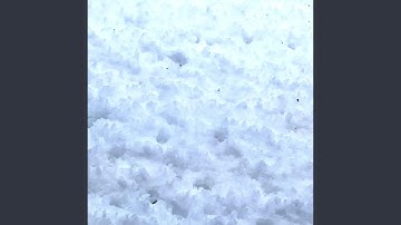 Seven Twenty Four Dismissal