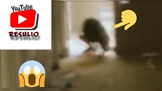 Terk Edilen Binalarda Çekilen 3 Gorkunç Video