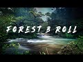 Forest B - Roll / Cinematic Forest