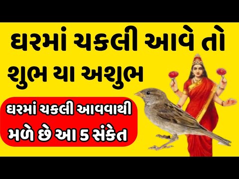 ઘરમાં ચકલી આવે તો મળે છે આ 5 સંકેત | ADBHUT GYAN |