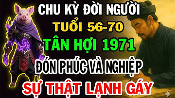 Cảnh Báo Quan Trọng Tân Hợi 1971 Từ 56 Đến 70 Tuổi CHƯA TỪNG TIẾT LỘ.Vì Sao 56 đến 70 Là Bước Ngoặt