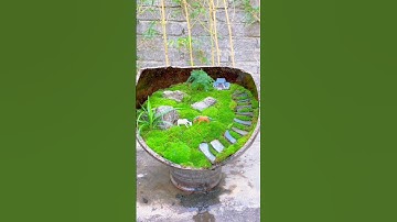 Diy Garden Ideas | small Moss Plant Terrarium #shorts #short #moss #plant #terrarium