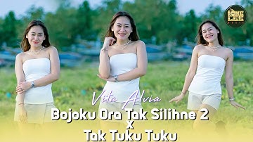 Vita Alvia - Bojoku Ora Tak Silihne 2 (DJ Remix Tak Tuku Tuku)