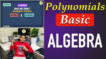 Algebra Polynomials (Algebra Basics) | Lessonade