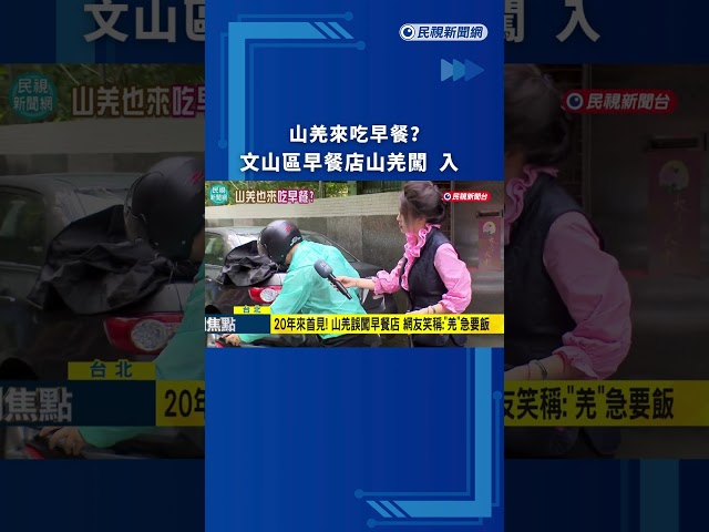 山羌來吃早餐？　文山區早餐店山羌闖入　｜民視新聞｜